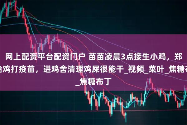 网上配资平台配资门户 苗苗凌晨3点接生小鸡,郑恺给鸡打疫苗,进鸡舍清理鸡屎很能干_视频_菜叶_焦糖布丁